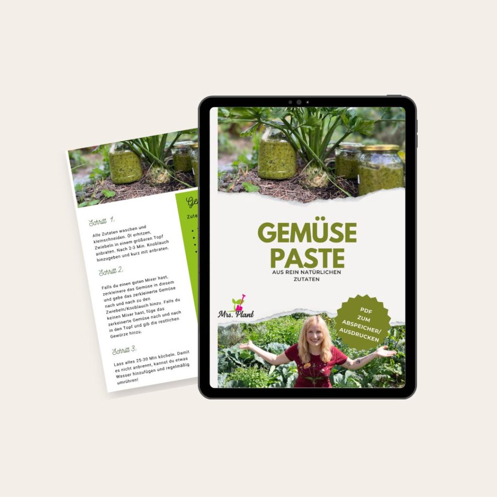 Angebot für 0€: Rezepte für Kräuter und Gemüse aus dem eigenen Garten. Rezeptvorschau einer Gemüsepaste digitalisiert auf einem Tablet.
