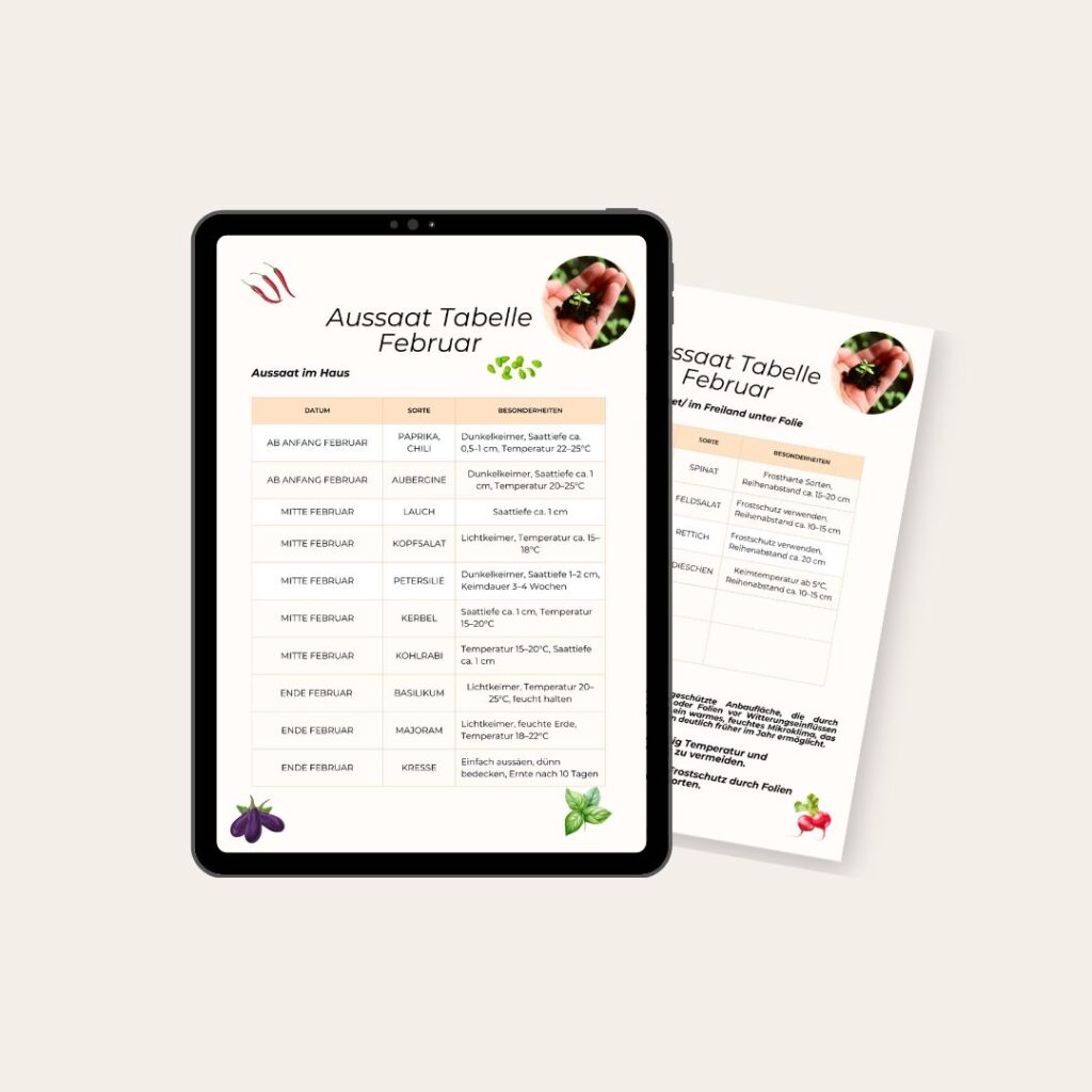Angebot Gärtner-Tipps: Aussaat Plan für Februar als PDF zum kostenlosen Download. Zu sehen ist eine Tablet mit beigen Hintergrund, welches eine Vorschau des Aussaatplans präsentiert.