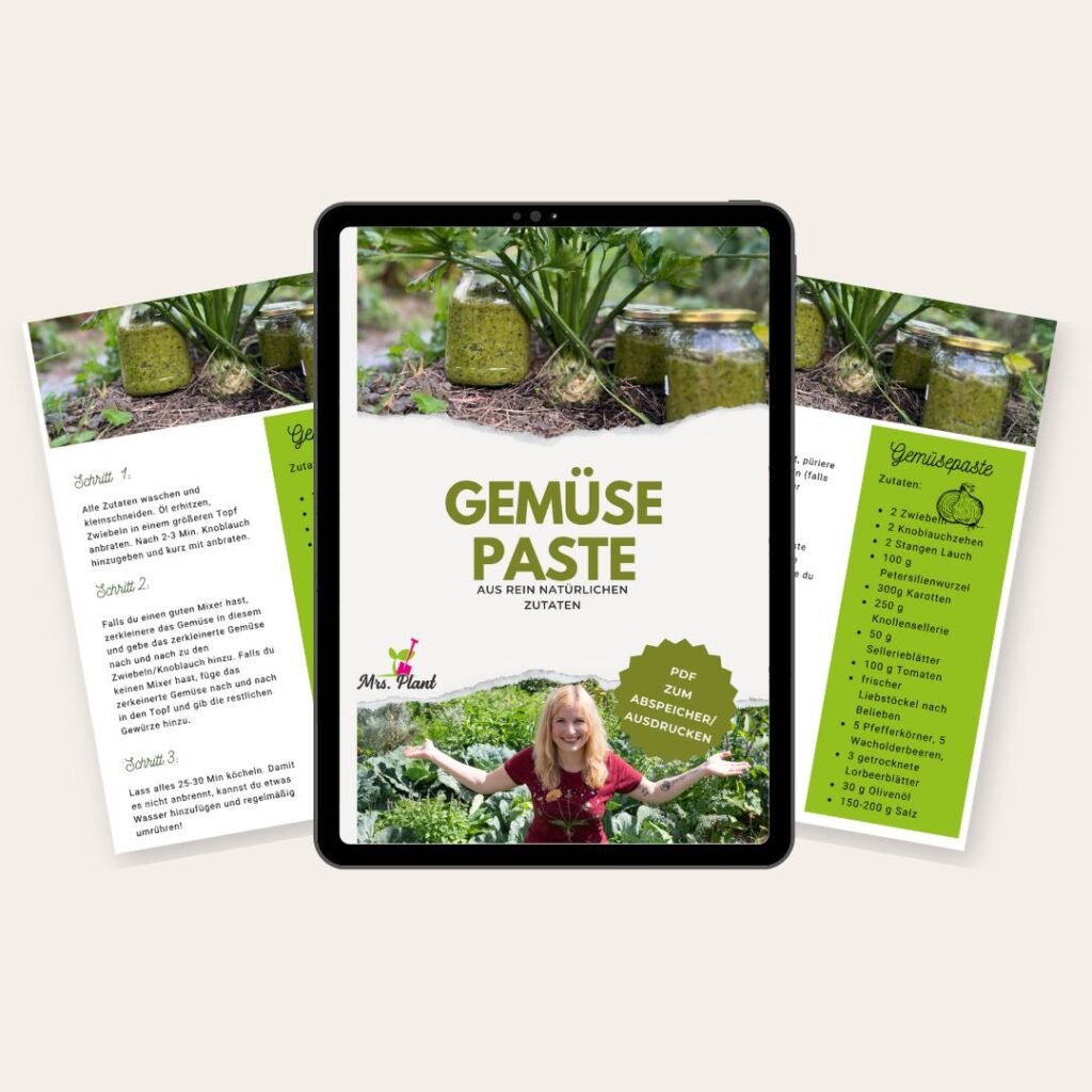 Rezepte für Kräuter und Gemüse aus dem eigenen Garten: Gemüsepaste als PDF zum kostenlosen Download. Zu sehen ist eine Tablet, welches eine Vorschau des PDFs präsentiert.