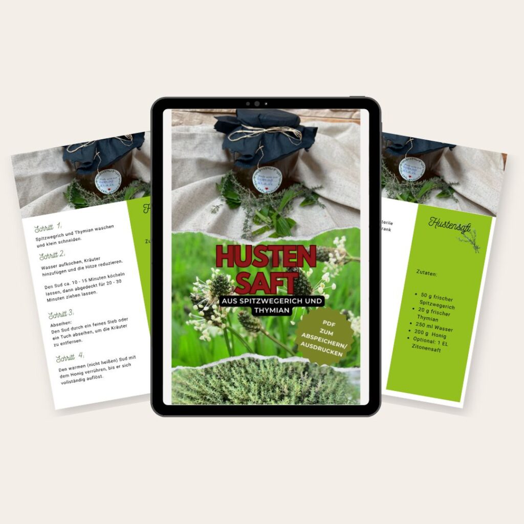 Rezepte für Kräuter und Gemüse aus dem eigenen Garten: Hustensaft als PDF zum kostenlosen Download. Zu sehen ist eine Tablet, welches eine Vorschau des PDFs präsentiert.