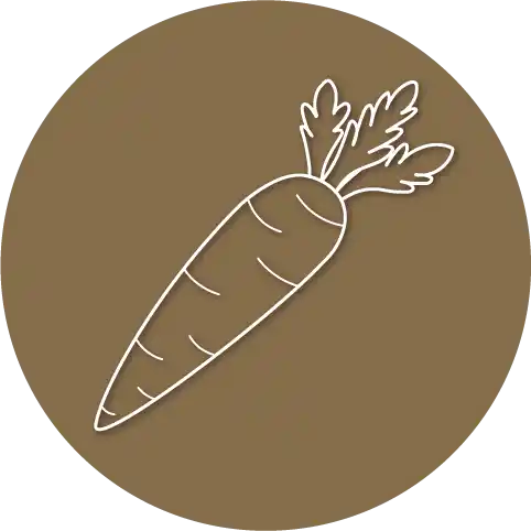 Weißes Icon einer Karotte auf einem braunen Hintergrund, welches die Angebotsdarstellung des Garten-Coaching Angebot verwendet wird.