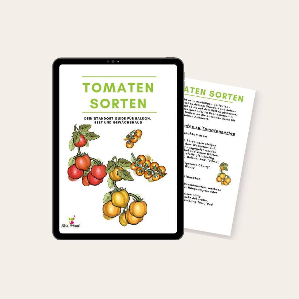 Angebot Gärtner-Tipps: Tomaten Sorten als PDF zum kostenlosen Download. Zu sehen ist eine Tablet mit beigen Hintergrund, welches eine Vorschau unterschiedlicher Tomatensorten präsentiert.