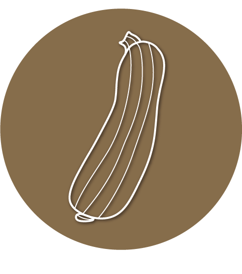 Weißes Icon einer Zucchini auf einem braunen Hintergrund für das Angebot Online-Kurse für Zucchinikurs.