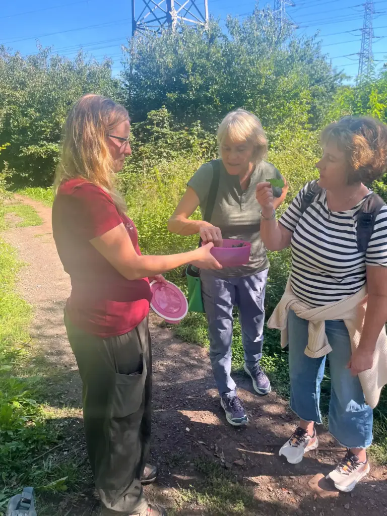Private Gruppentour bei der Kräuterwanderung im Saarland. Julia und ihre Teilnehmer stehen in einem Kreis und essen heimische Früchte.