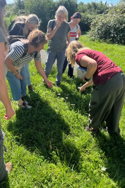 Julia erklärt den Teilnehmern unterschiedliche Kräuterpflanzen bei der Kräuterwanderung im Saarland.